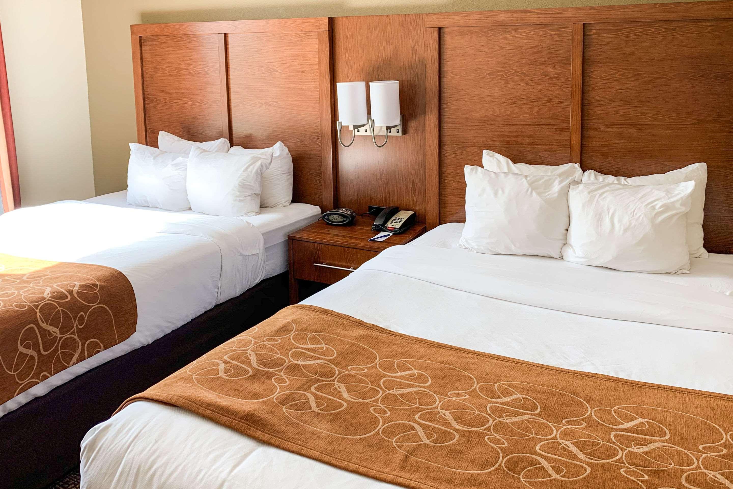 Comfort Suites Columbus State University Area Bagian luar foto